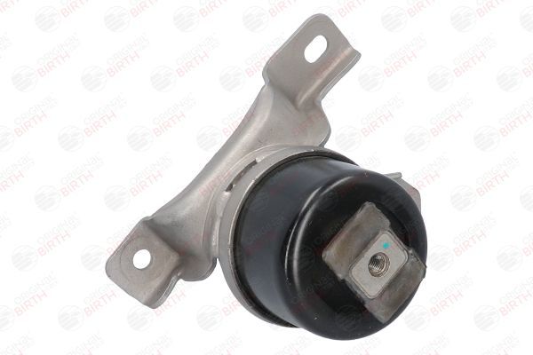 Variklio montavimas BIRTH 53313