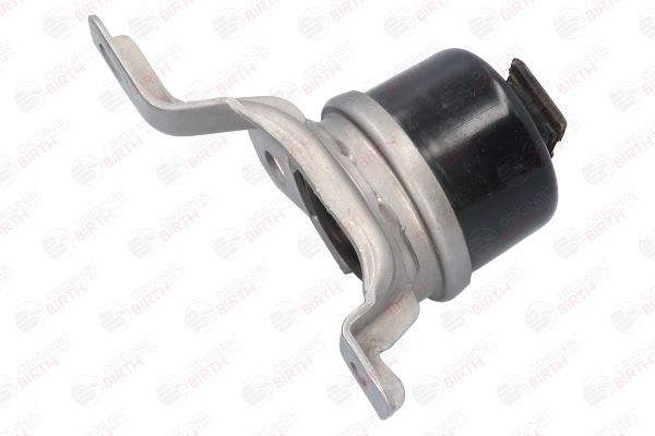 Variklio montavimas BIRTH 53313