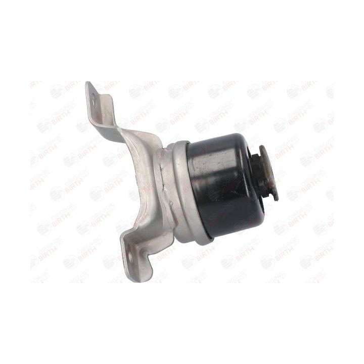 Variklio montavimas BIRTH 53313