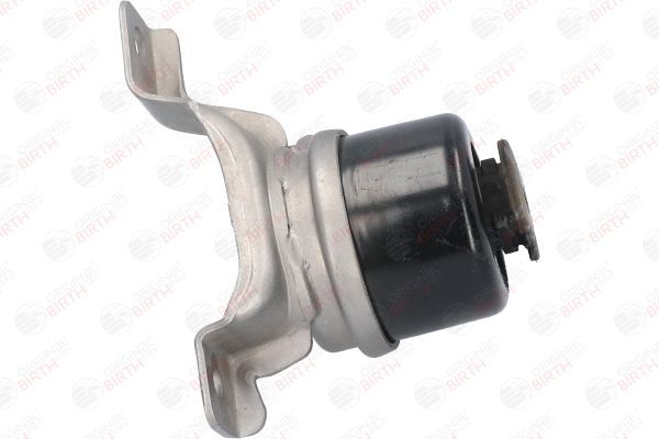 Variklio montavimas BIRTH 53313