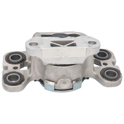 Variklio montavimas BIRTH 53314