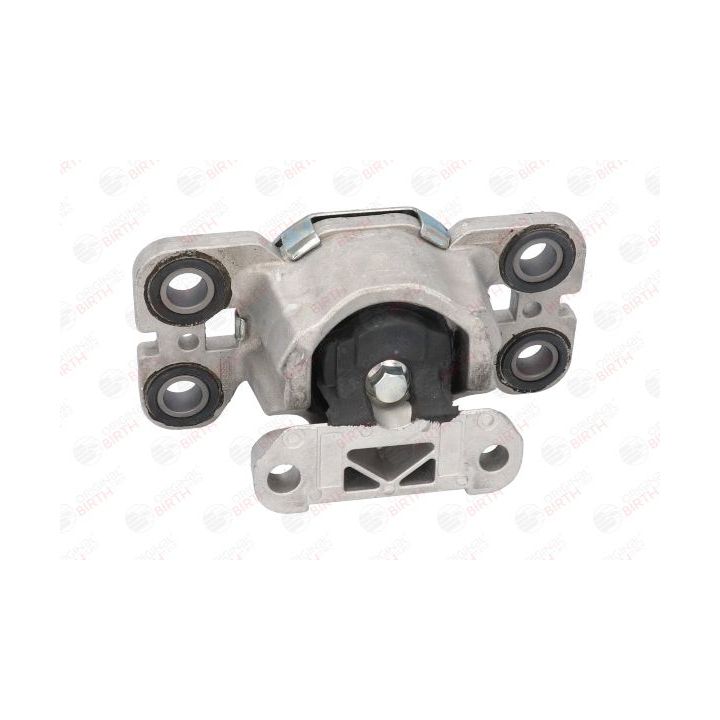 Variklio montavimas BIRTH 53314