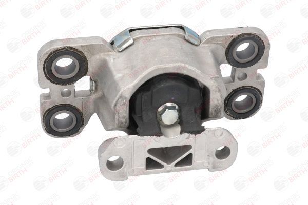 Variklio montavimas BIRTH 53314