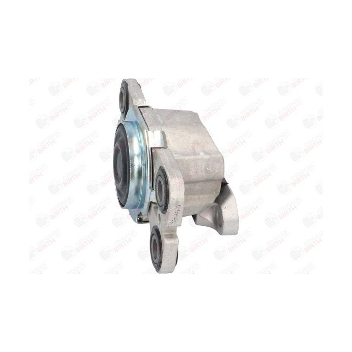 Variklio montavimas BIRTH 53314