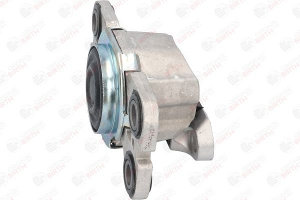 Variklio montavimas BIRTH 53314