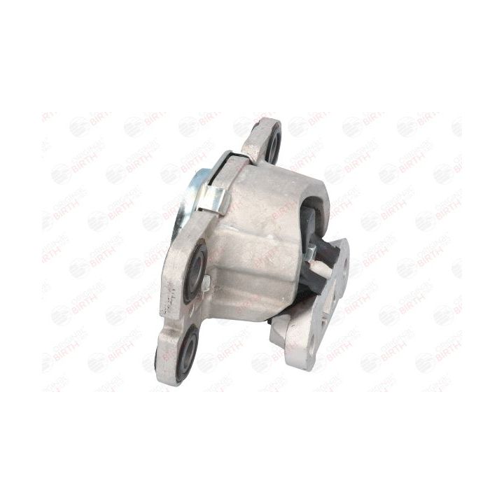 Variklio montavimas BIRTH 53314