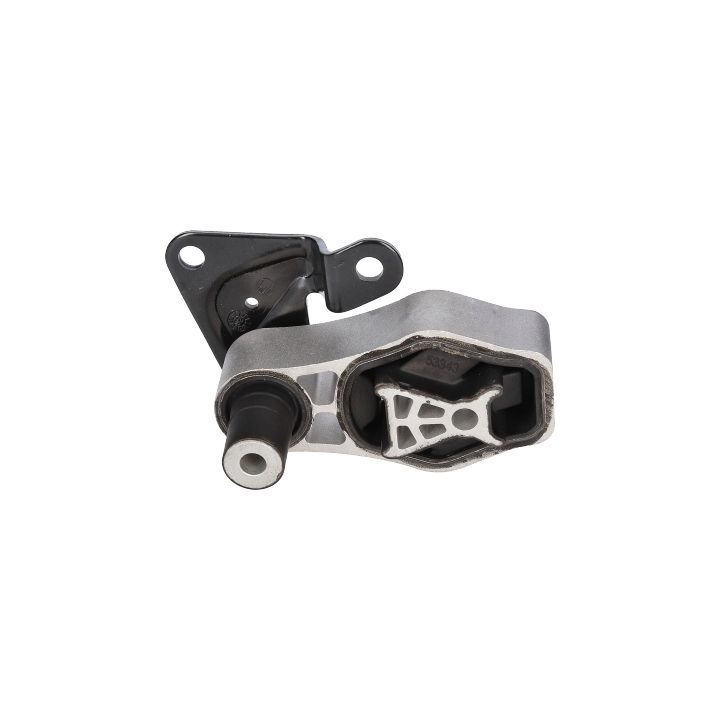 Variklio montavimas BIRTH 53343