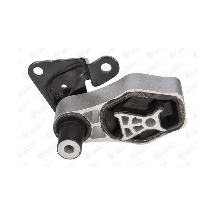 Variklio montavimas BIRTH 53343