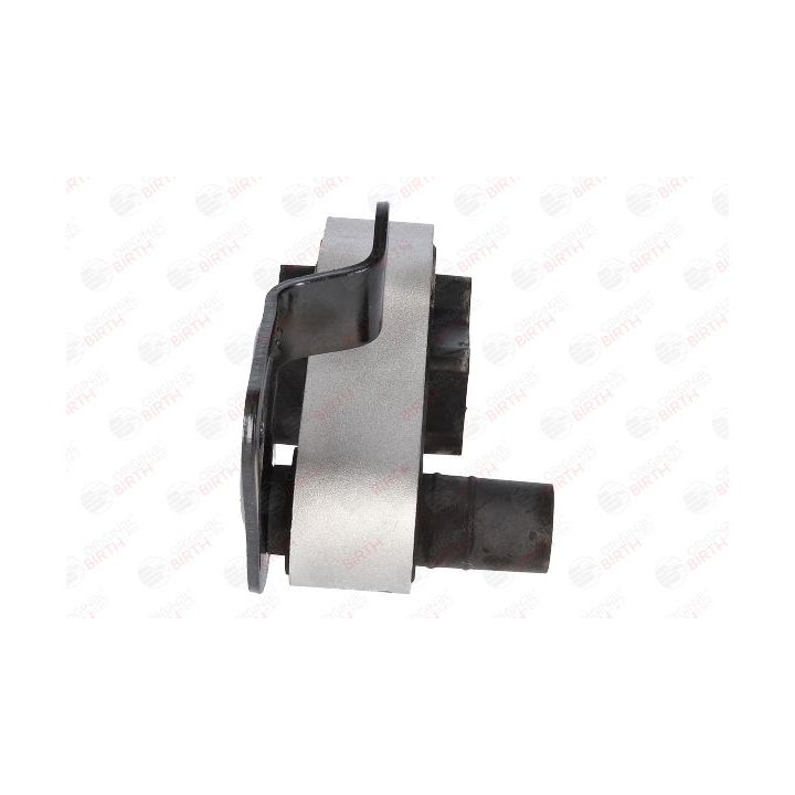 Variklio montavimas BIRTH 53343