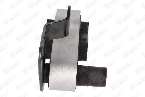 Variklio montavimas BIRTH 53343