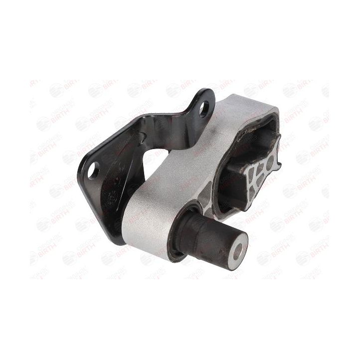 Variklio montavimas BIRTH 53343