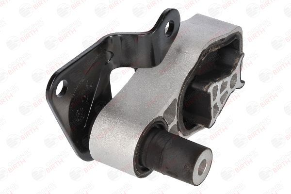 Variklio montavimas BIRTH 53343