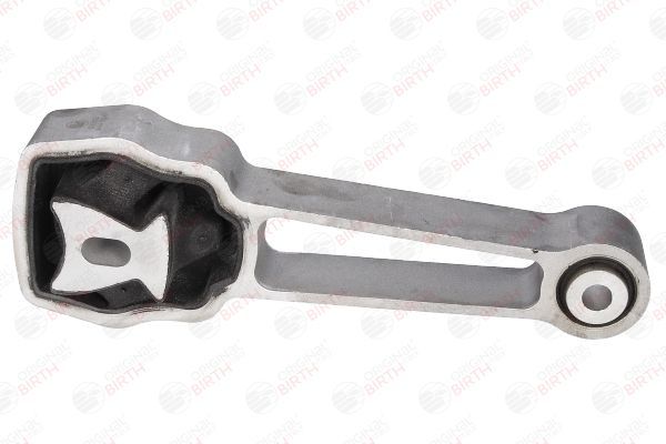 Variklio montavimas BIRTH 53363