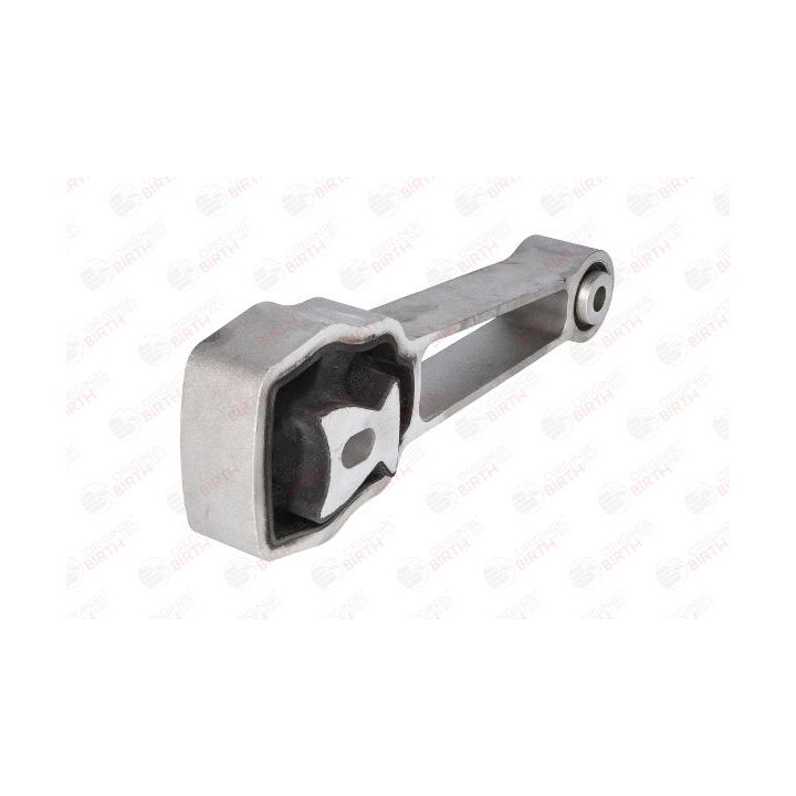 Variklio montavimas BIRTH 53363