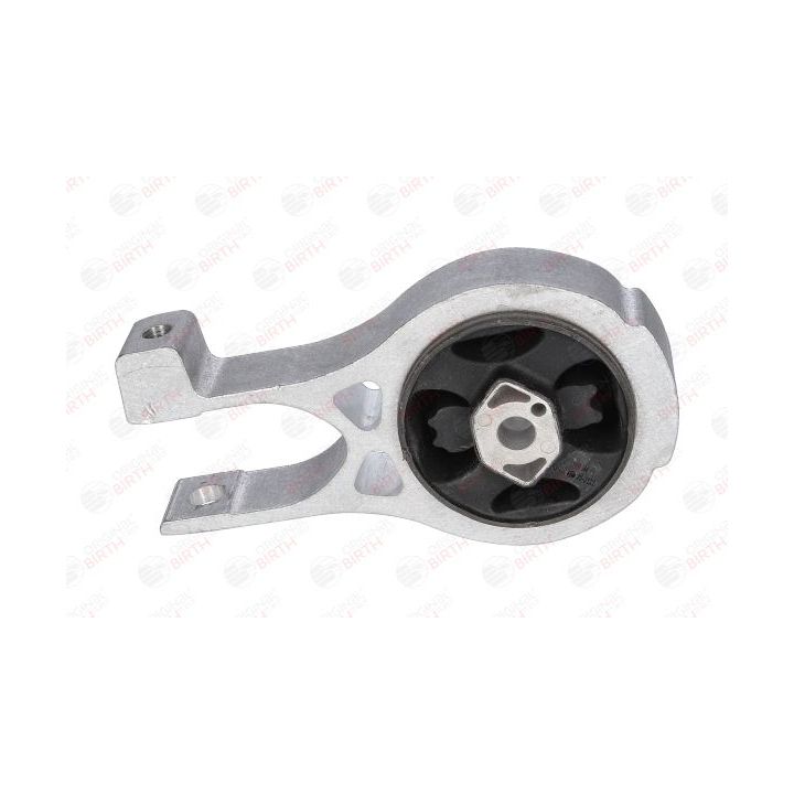 Variklio montavimas BIRTH 53365