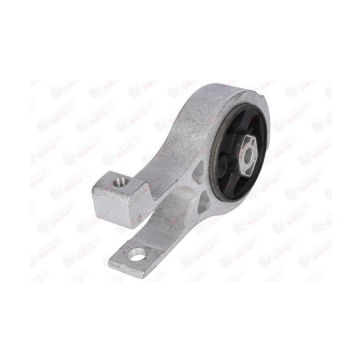 Variklio montavimas BIRTH 53365