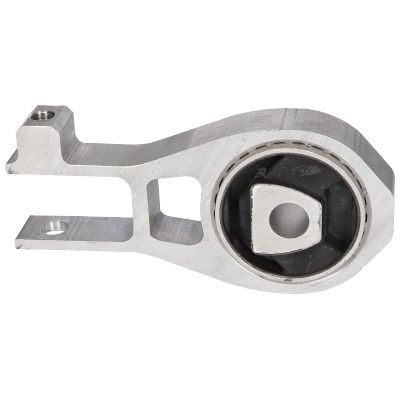 Variklio montavimas BIRTH 53376