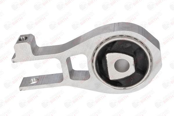 Variklio montavimas BIRTH 53376