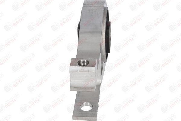 Variklio montavimas BIRTH 53376