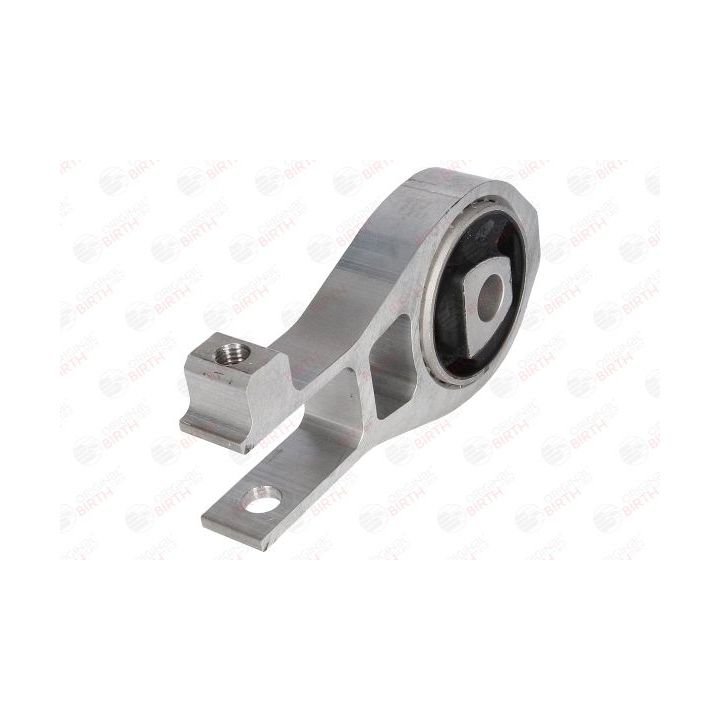 Variklio montavimas BIRTH 53376