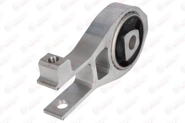 Variklio montavimas BIRTH 53376