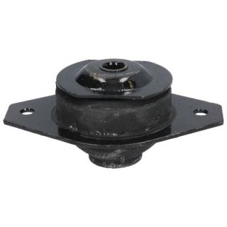 Variklio montavimas BIRTH 5338