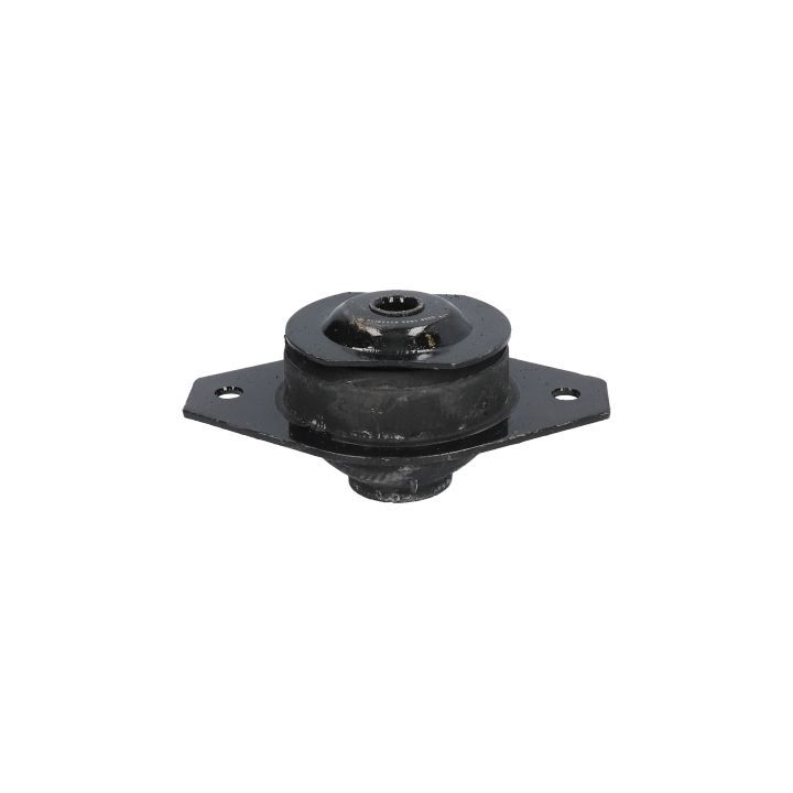 Variklio montavimas BIRTH 5338