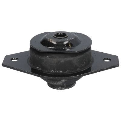 Variklio montavimas BIRTH 5338