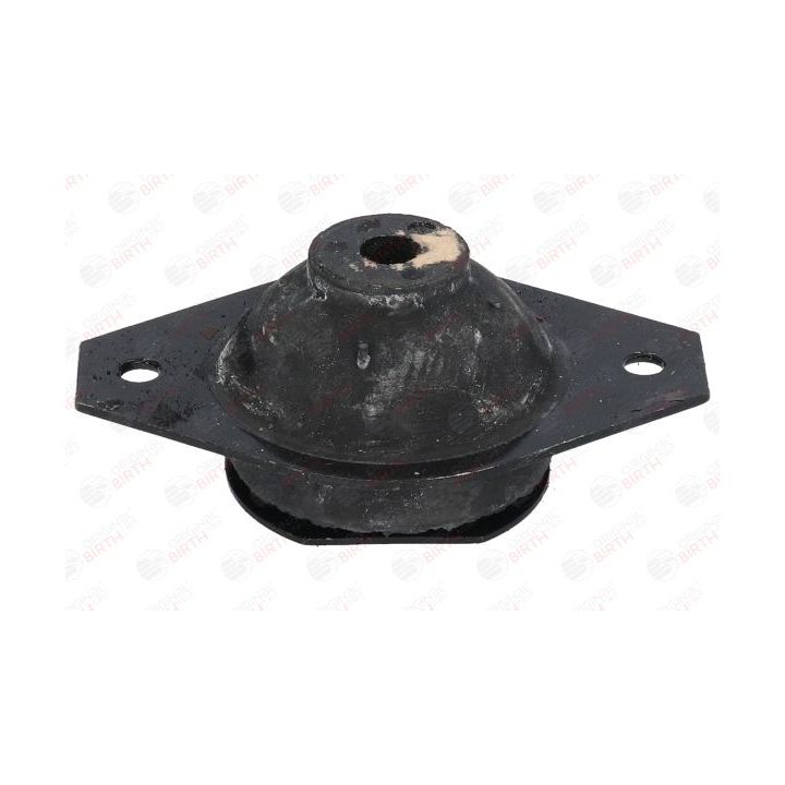 Variklio montavimas BIRTH 5338