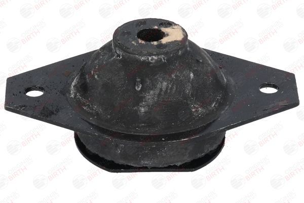 Variklio montavimas BIRTH 5338