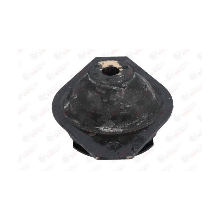 Variklio montavimas BIRTH 5338