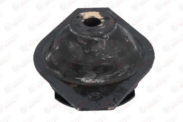 Variklio montavimas BIRTH 5338