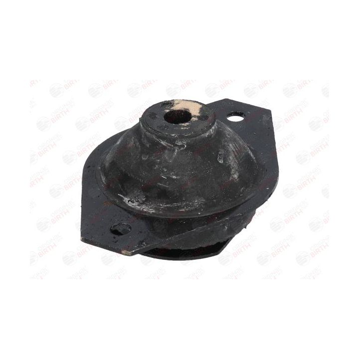 Variklio montavimas BIRTH 5338