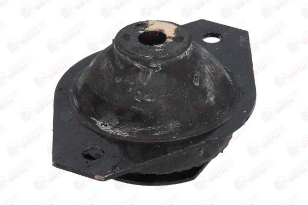 Variklio montavimas BIRTH 5338