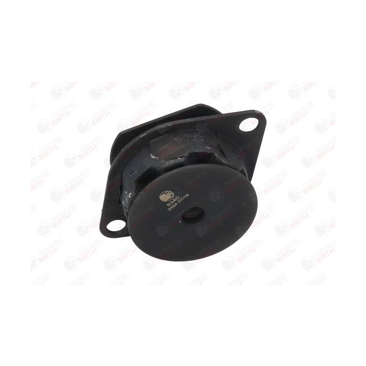 Variklio montavimas BIRTH 5340