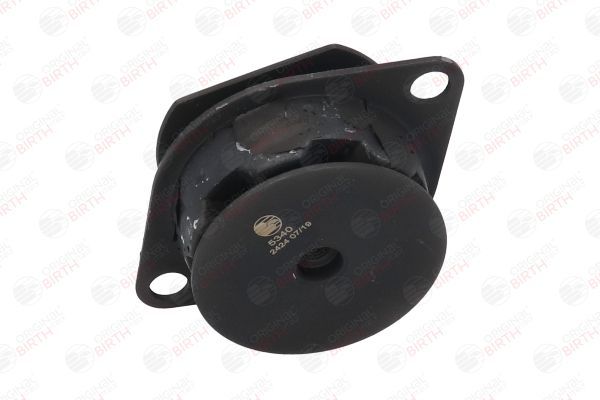 Variklio montavimas BIRTH 5340