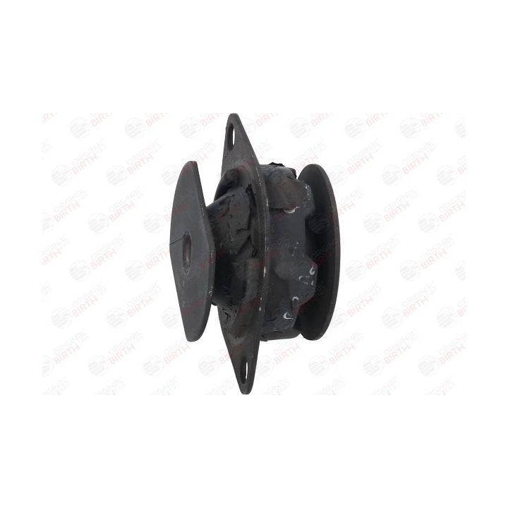 Variklio montavimas BIRTH 5340