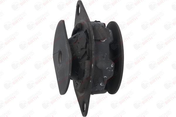 Variklio montavimas BIRTH 5340