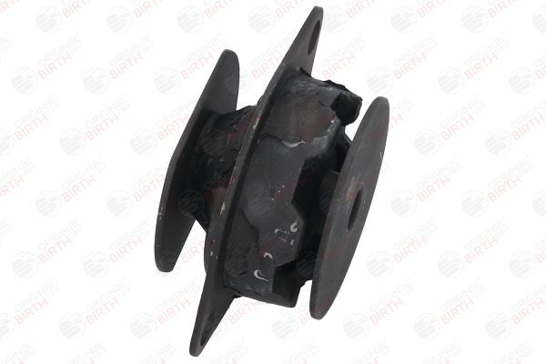 Variklio montavimas BIRTH 5340