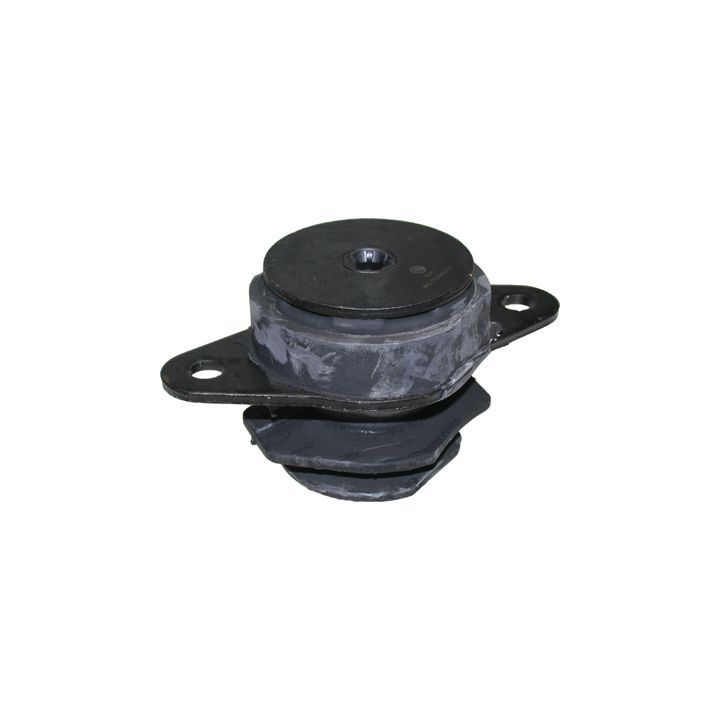 Variklio montavimas BIRTH 5341