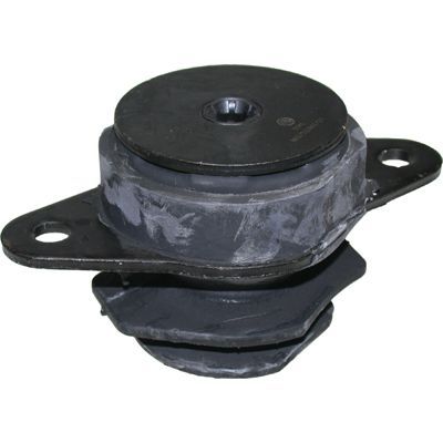 Variklio montavimas BIRTH 5341