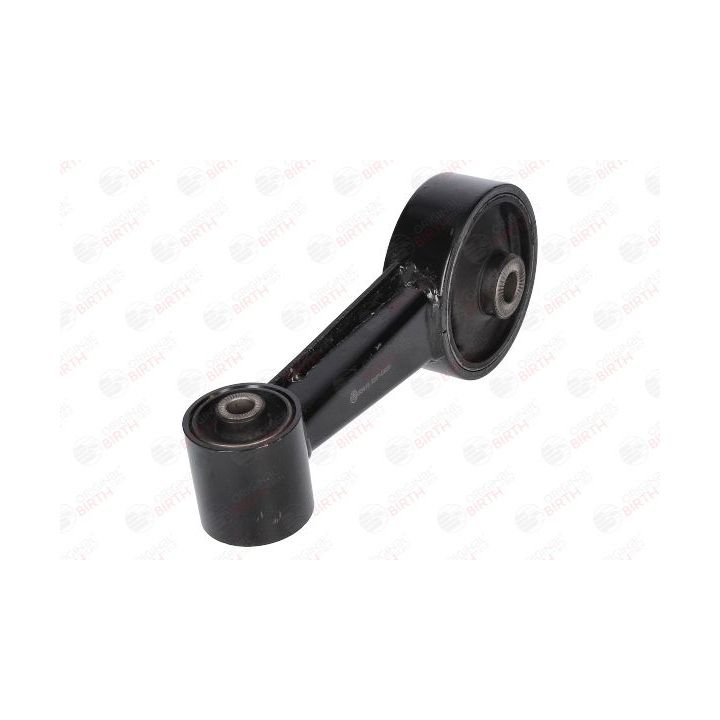 Variklio montavimas BIRTH 53415