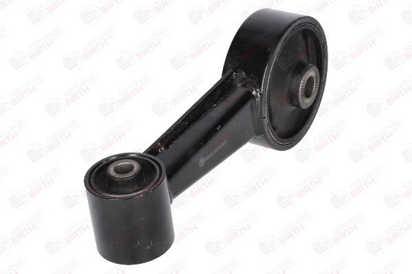 Variklio montavimas BIRTH 53415