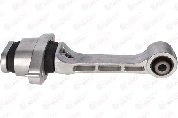 Variklio montavimas BIRTH 53421