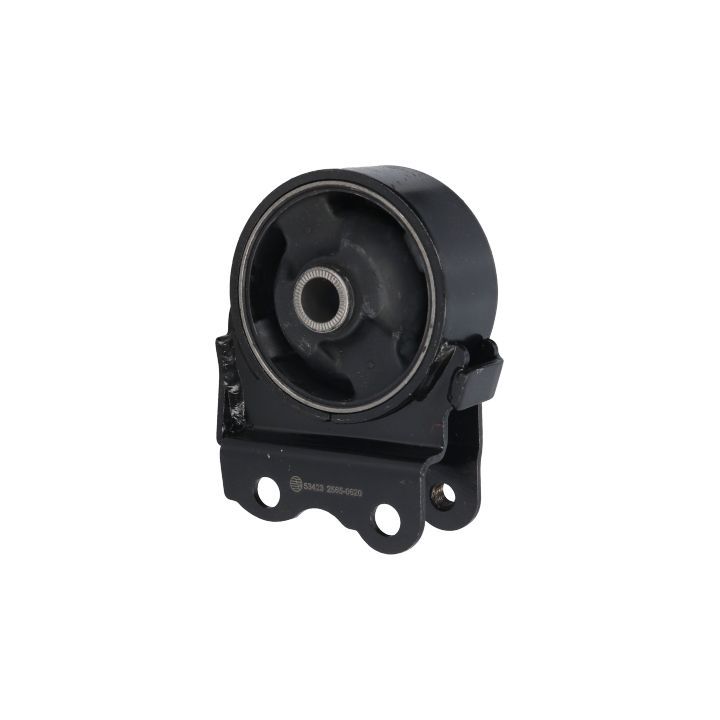 Variklio montavimas BIRTH 53423