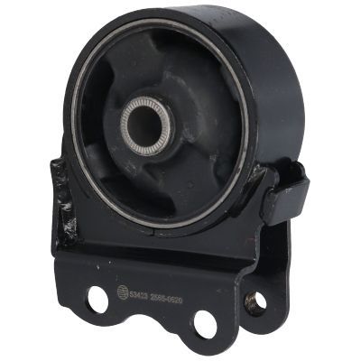 Variklio montavimas BIRTH 53423