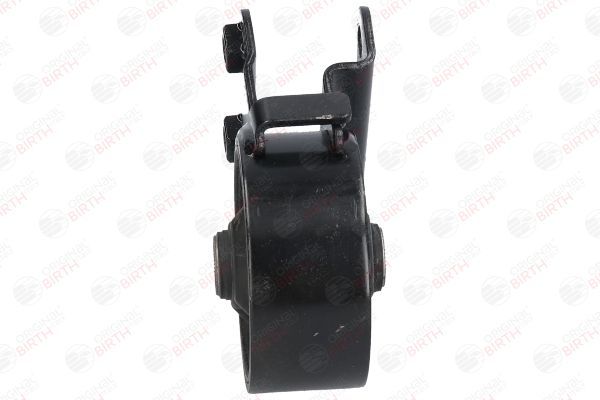 Variklio montavimas BIRTH 53423