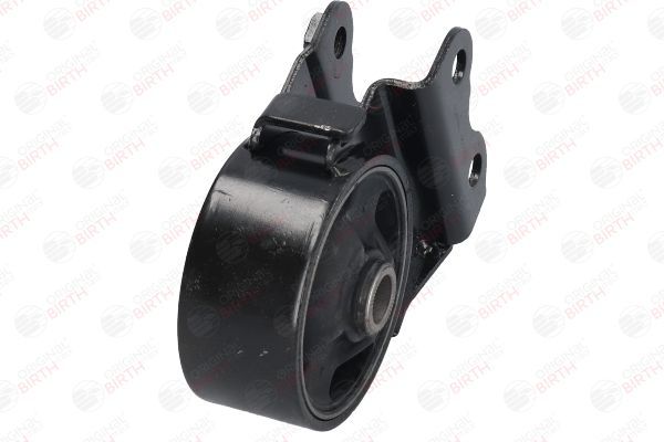 Variklio montavimas BIRTH 53423