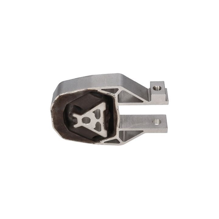 Variklio montavimas BIRTH 53432