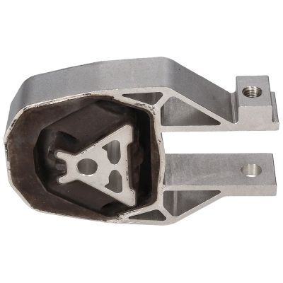 Variklio montavimas BIRTH 53432